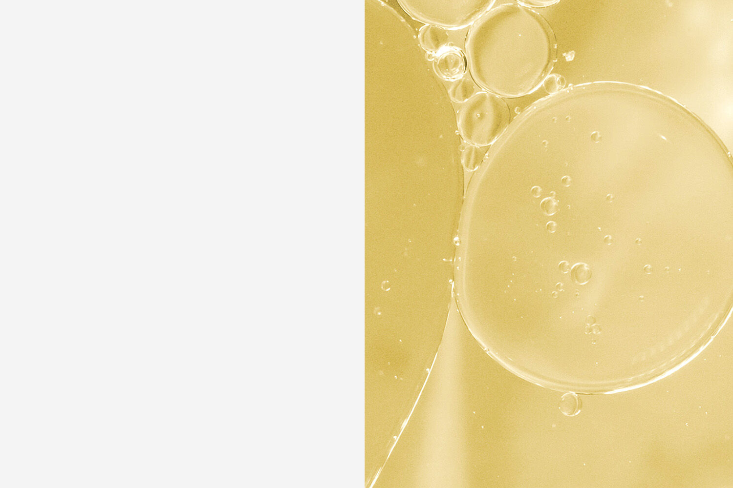 PLP Banner