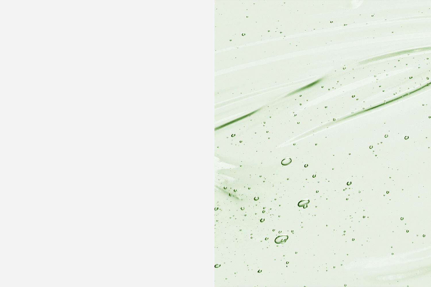 PLP Banner