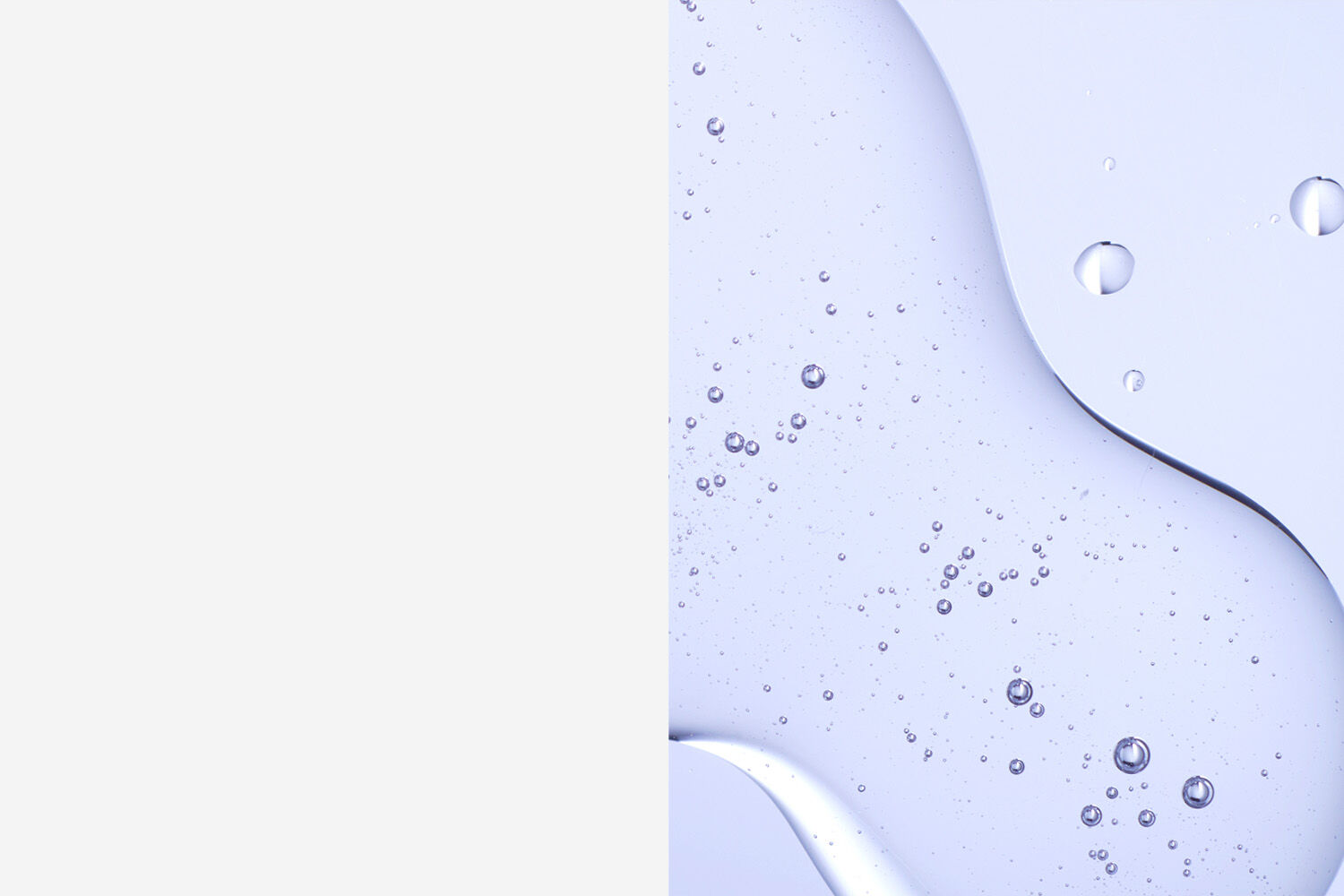 PLP Banner