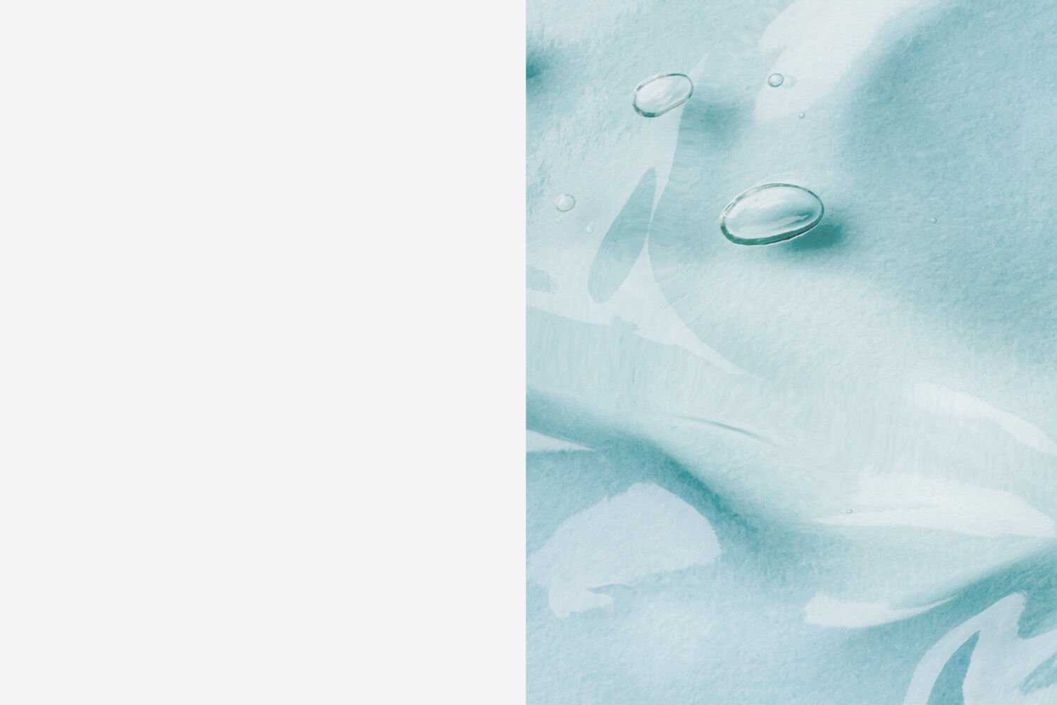PLP Banner