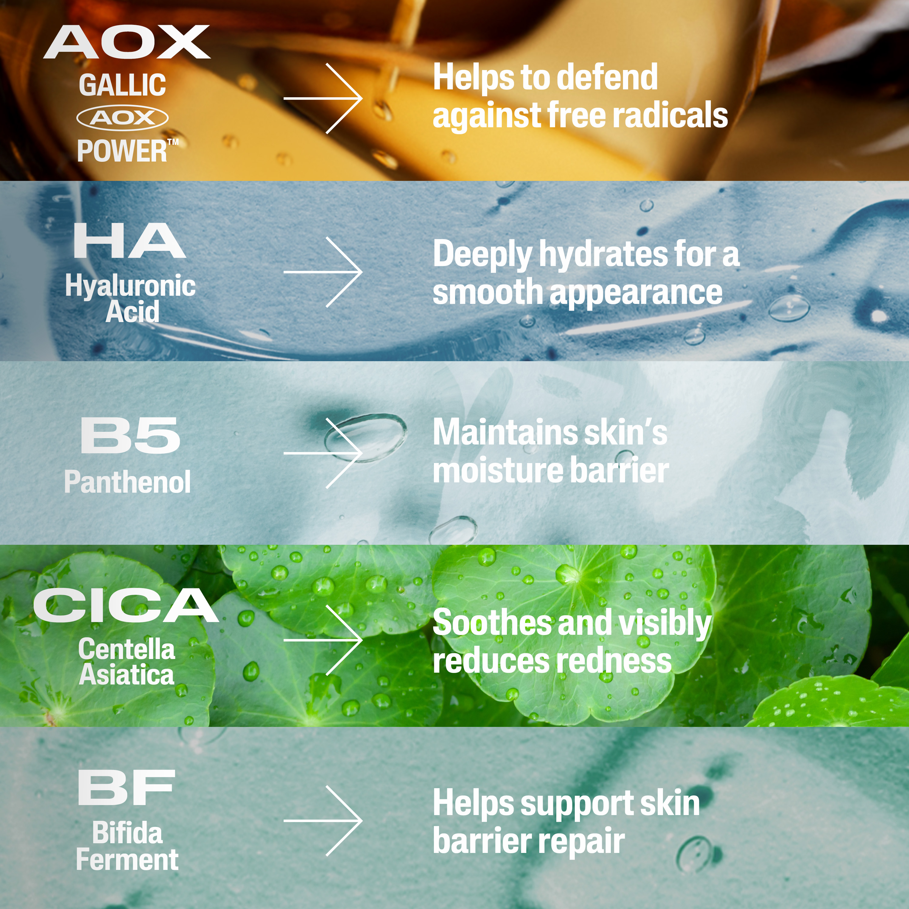 Repair & Renew Serum 
                    Ingredients